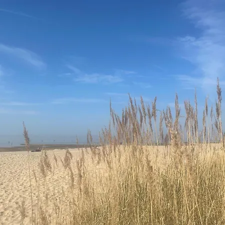 Nordseebrandung A2 3 *